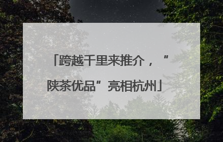 跨越千里来推介，“陕茶优品”亮相杭州