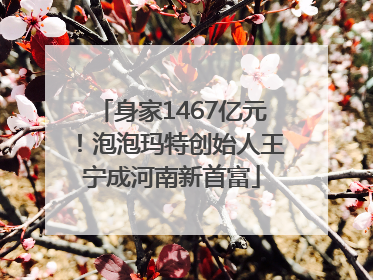 身家1467亿元！泡泡玛特创始人王宁成河南新首富