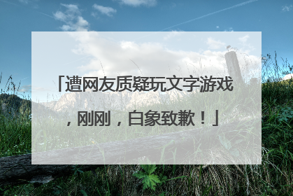 遭网友质疑玩文字游戏，刚刚，白象致歉！