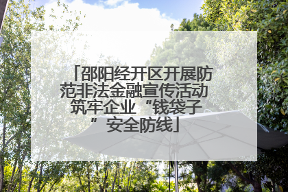 邵阳经开区开展防范非法金融宣传活动 筑牢企业“钱袋子”安全防线