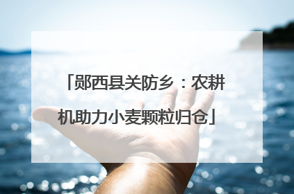 郧西县关防乡：农耕机助力小麦颗粒归仓