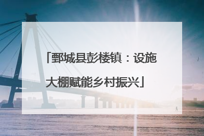 鄄城县彭楼镇：设施大棚赋能乡村振兴