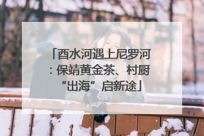 酉水河遇上尼罗河：保靖黄金茶、村厨“出海”启新途