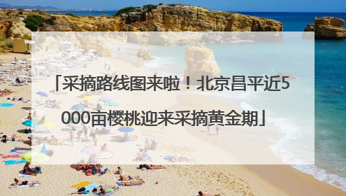 采摘路线图来啦！北京昌平近5000亩樱桃迎来采摘黄金期