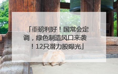 重磅利好！国常会定调，绿色制造风口来袭！12只潜力股曝光