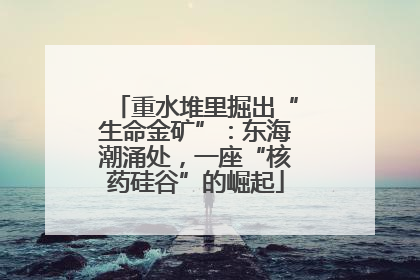 重水堆里掘出“生命金矿”：东海潮涌处，一座“核药硅谷”的崛起