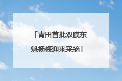青田首批双膜东魁杨梅迎来采摘
