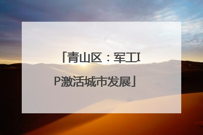 青山区：军工IP激活城市发展