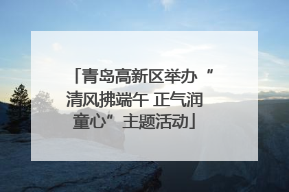 青岛高新区举办“清风拂端午 正气润童心”主题活动