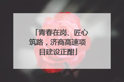 青春在岗、匠心筑路，济商高速项目建设正酣