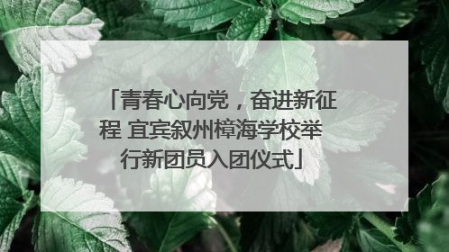 青春心向党，奋进新征程 宜宾叙州樟海学校举行新团员入团仪式