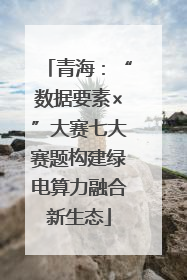 青海：“数据要素×”大赛七大赛题构建绿电算力融合新生态