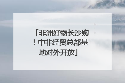 非洲好物长沙购！中非经贸总部基地对外开放