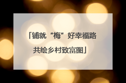 铺就“梅”好幸福路 共绘乡村致富图