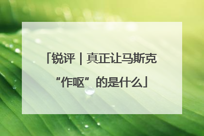 锐评｜真正让马斯克“作呕”的是什么