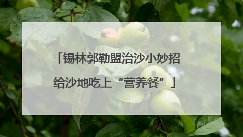 锡林郭勒盟治沙小妙招 给沙地吃上“营养餐”