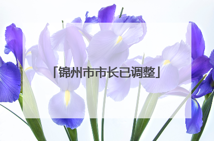 锦州市市长已调整