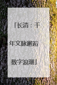 长清：千年文脉邂逅数字浪潮