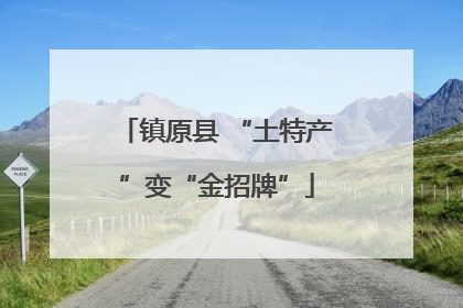 镇原县 “土特产”变“金招牌”
