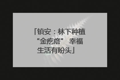 镇安：林下种植“金疙瘩” 幸福生活有盼头