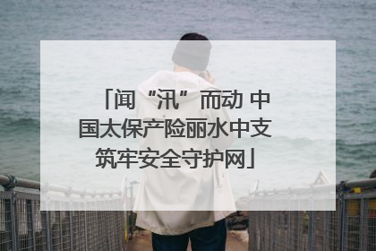 闻“汛”而动 中国太保产险丽水中支筑牢安全守护网