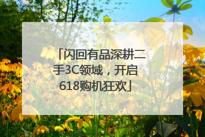 闪回有品深耕二手3C领域，开启618购机狂欢
