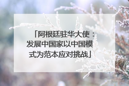 阿根廷驻华大使：发展中国家以中国模式为范本应对挑战
