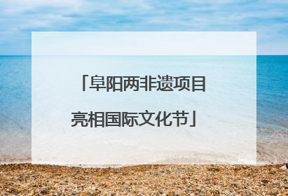 阜阳两非遗项目亮相国际文化节