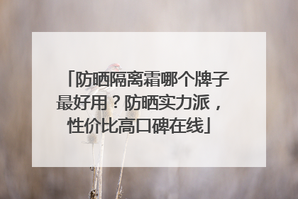 防晒隔离霜哪个牌子最好用？防晒实力派，性价比高口碑在线