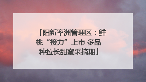 阳新率洲管理区：鲜桃“接力”上市 多品种拉长甜蜜采摘期