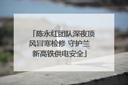 陈永红团队深夜顶风冒寒检修 守护兰新高铁供电安全