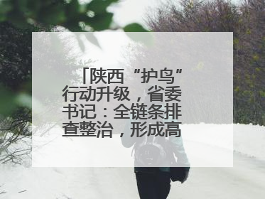 陕西“护鸟”行动升级，省委书记：全链条排查整治，形成高压震慑态势