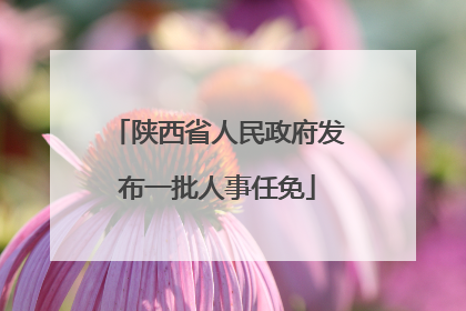 陕西省人民政府发布一批人事任免