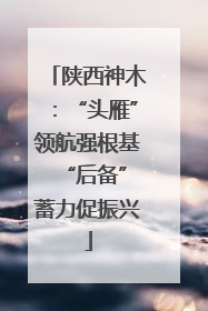 陕西神木：“头雁”领航强根基 “后备”蓄力促振兴