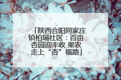陕西合阳同家庄镇柏瑞社区：百亩杏园迎丰收 果农走上“杏”福路