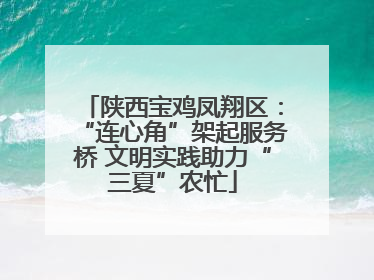 陕西宝鸡凤翔区：“连心角”架起服务桥 文明实践助力“三夏”农忙