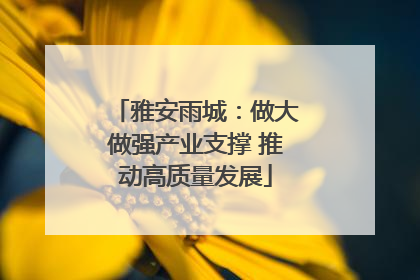 雅安雨城：做大做强产业支撑 推动高质量发展