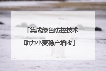 集成绿色防控技术助力小麦稳产增收
