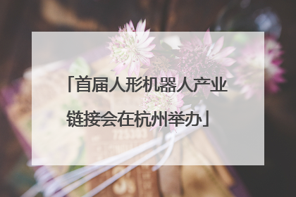 首届人形机器人产业链接会在杭州举办