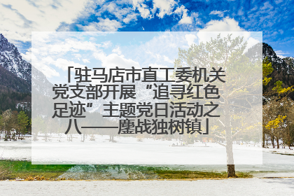 驻马店市直工委机关党支部开展“追寻红色足迹”主题党日活动之八——鏖战独树镇