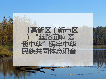 高新区（新市区）“丝路回响 爱我中华”铸牢中华民族共同体意识音乐会启幕