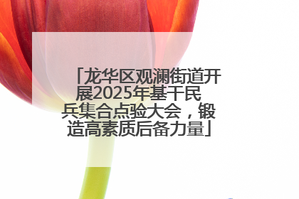 龙华区观澜街道开展2025年基干民兵集合点验大会，锻造高素质后备力量