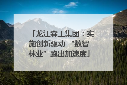 龙江森工集团：实施创新驱动 “数智林业”跑出加速度