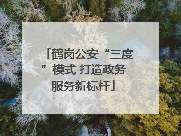 鹤岗公安“三度”模式 打造政务服务新标杆