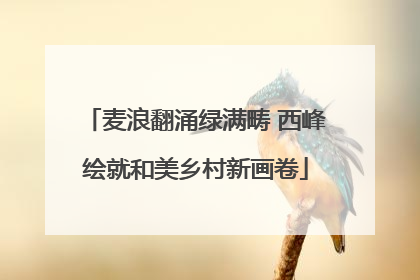 麦浪翻涌绿满畴 西峰绘就和美乡村新画卷