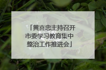 黄喜忠主持召开市委学习教育集中整治工作推进会