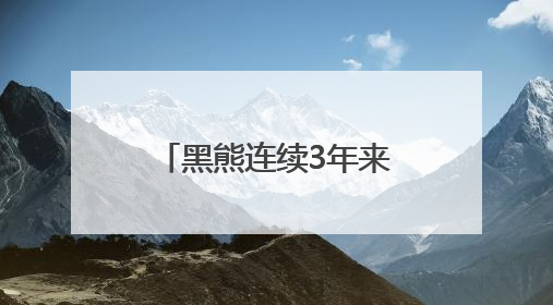 黑熊连续3年来偷蜂蜜 村民防盗花样频出却不伤害：它是保护动物，我有保险兜底