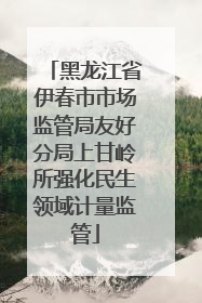 黑龙江省伊春市市场监管局友好分局上甘岭所强化民生领域计量监管