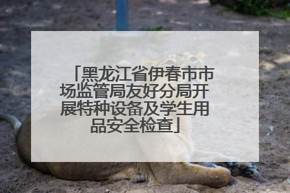 黑龙江省伊春市市场监管局友好分局开展特种设备及学生用品安全检查
