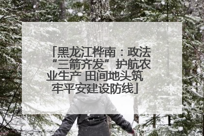 黑龙江桦南：政法“三箭齐发”护航农业生产 田间地头筑牢平安建设防线
